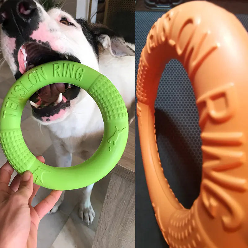 EVA Play & Train Canine Ring