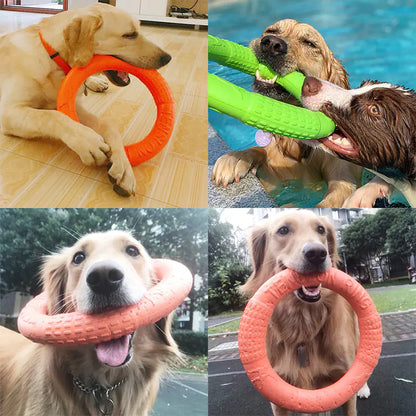 EVA Play & Train Canine Ring