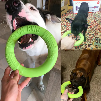EVA Play & Train Canine Ring