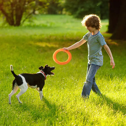 EVA Play & Train Canine Ring